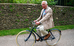 Велосипед Pashley Briton Oxblood 24.5"