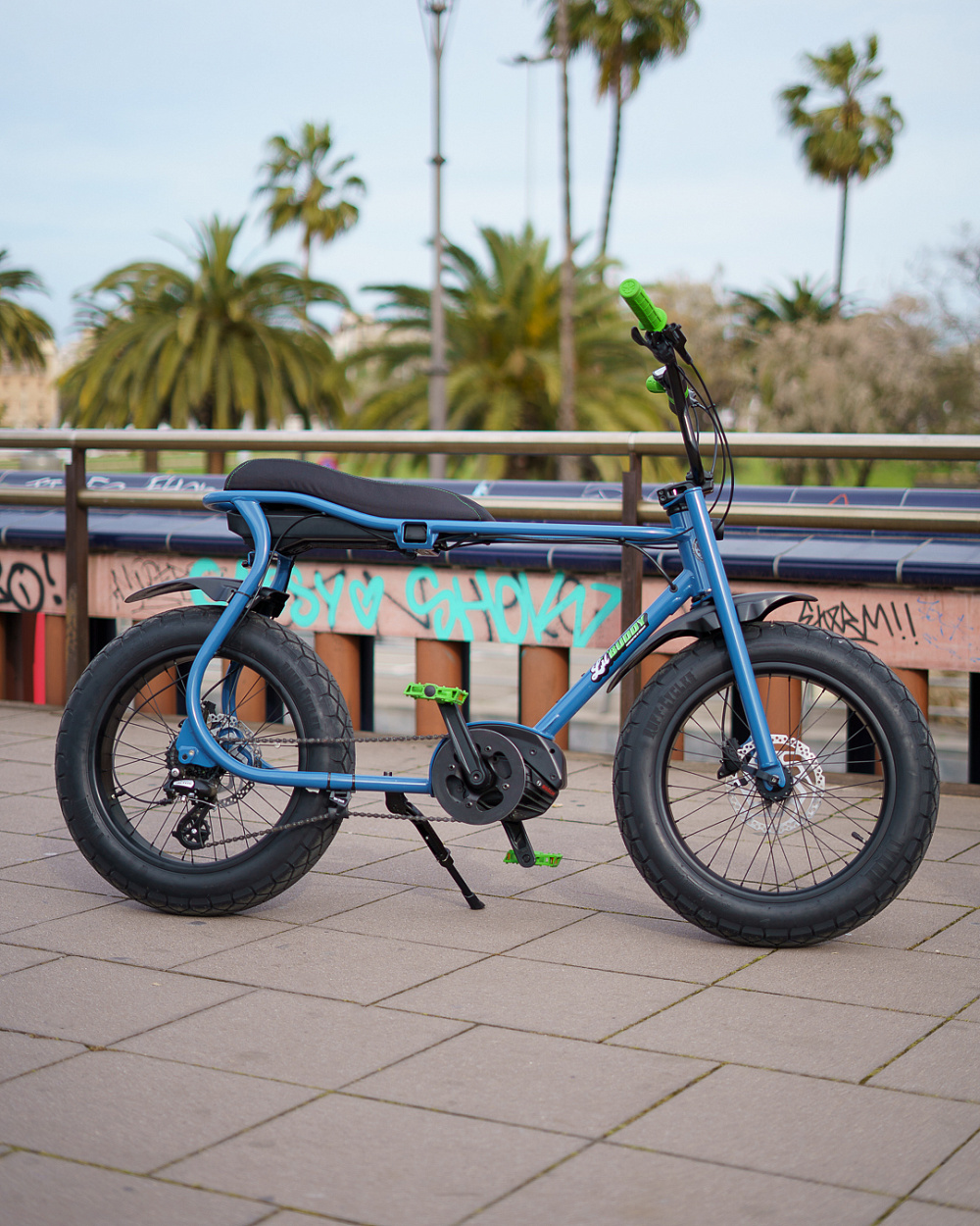 Электровелосипед Ruff Cycles Lil'Buddy SPECIAL EDITION Bosch Active Line 300 Wh Sombra Black